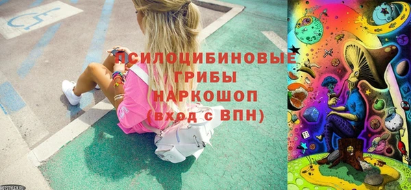 спайс Сясьстрой