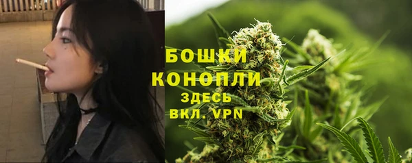 спайс Сясьстрой