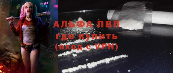 спайс Сясьстрой