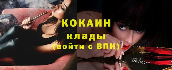 спайс Сясьстрой