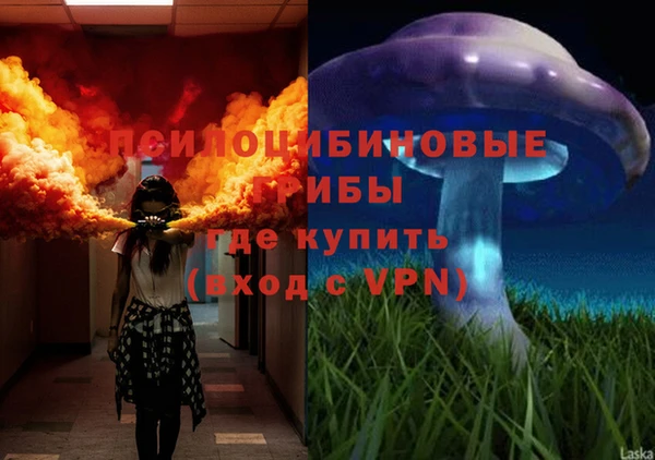 спайс Сясьстрой