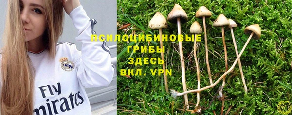 альфа пвп Тайга