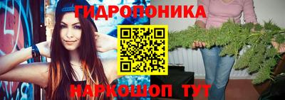 сатива Берёзовский