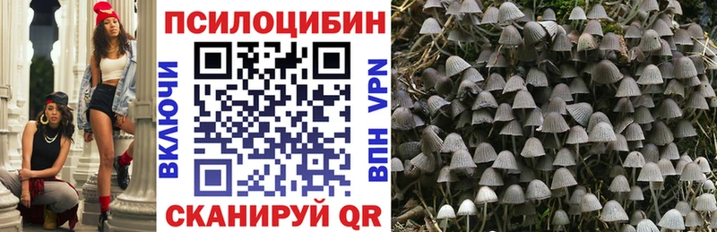 ссылка на мегу ссылки  Муром  Псилоцибиновые грибы мицелий  купить  