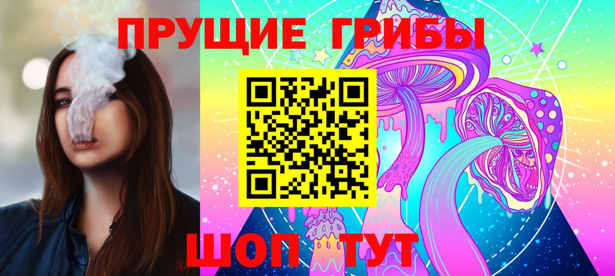 Псилоцибиновые грибы GOLDEN TEACHER Муром
